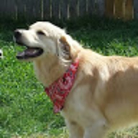 Meet your Posher, Felicia - Picture 1 of 1